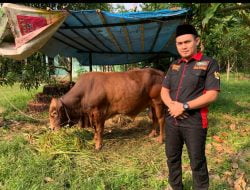Jelang Idul Adha Banten Peduli Ummat Siap Tebar Hewan Kurban