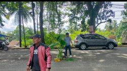 Aktivis Tanam Pohon Talas di Ruas Jalan Nasional Yang Rusak dan Berlobang